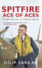 Image for Spitfire ace of aces: the wartime story of Johnnie Johnson