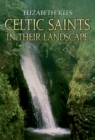 Image for Celtic saints