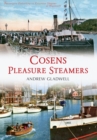 Image for Cosens Pleasure Steamers