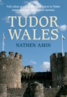 Image for Tudor Wales  : a guide