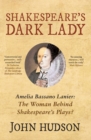 Image for Shakespeare&#39;s Dark Lady