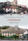 Image for Cheddar through time