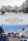 Image for Wellington through time