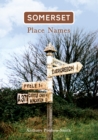 Image for Somerset place names