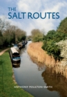 Image for The salt routes