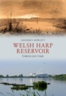 Image for Welsh Harp Reservoir: through time