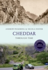 Image for Cheddar through time