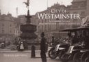 Image for The archives of judges of Hastings Ltd: City of Westminster
