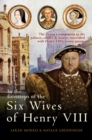 Image for In the footsteps of the six wives of Henry VIII  : the visitor&#39;s companion to the palaces, castles &amp; houses associated with Henry VIII&#39;s iconic Queens