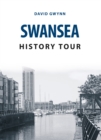 Image for Swansea history tour