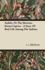 Image for Andele, Or The Mexican-Kiowa Captive - A Story Of Real Life Among The Indians