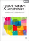 Image for Spatial statistics and geostatistics  : theory and applications for geographic information science and technology