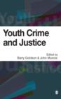 Image for Youth crime and justice: critical issues