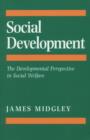 Image for Social development: theory &amp; practice