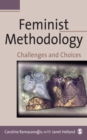 Image for Feminist Methodology: Challenges and Choices
