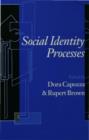 Image for Social identity processes: trends in theory and research