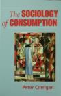 Image for The sociology of consumption: an introduction
