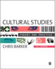 Image for Cultural studies  : theory and practice