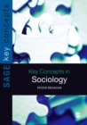 Image for Key concepts in sociology