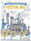 Image for Steam age