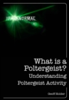 Image for What is a Poltergeist?: Understanding Poltergeist Activity