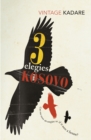 Image for Three elegies for Kosovo