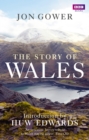 Image for The story of Wales