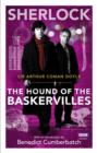 Image for The hound of the Baskervilles
