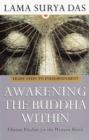Image for Awakening the Buddha within.