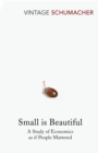 Image for Small is beautiful: a study of economics as if people mattered