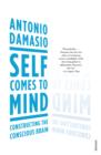 Image for Self comes to mind: constructing the conscious brain