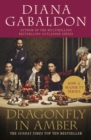 Image for Dragonfly in amber : 2