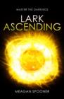 Image for Lark ascending