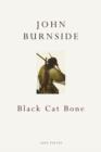 Image for Black cat bone