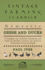 Image for Domestic Geese And Ducks - A Complete And Authentic Handbook And Guide For Breeders, Growers And Admirers Of Domestic Geese And Ducks