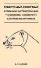 Image for Ferrets And Ferreting - Containing Instructions For The Breeding, Management, And Working Of Ferrets