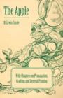 Image for The Apple - With Chapters on Propagation, Grafting and General Pruning