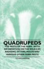 Image for Quadrupeds - The Pests of the Farm - With Information on the Wild Cat, Badgers, Otters, Moles and Various Other Farm Pests