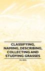 Image for Classifying, Naming, Describing, Collecting and Studying Grasses