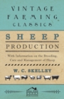 Image for Sheep Production - With Information on the Breeding, Care and Management of Sheep