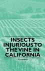 Image for Insects Injurious to the Vine in California