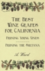 Image for The Best Wine Grapes for California - Pruning Young Vines - Pruning the Sultana