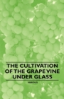 Image for The Cultivation of the Grape Vine Under Glass