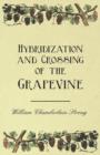 Image for Hybridization and Crossing of the Grapevine