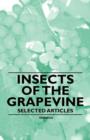 Image for Insects of the Grapevine - Selected Articles