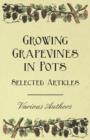 Image for Growing Grapevines in Pots - Selected Articles