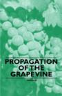 Image for Propagation of the Grapevine
