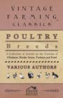 Image for Poultry Breeds - A Collection of Articles on the Varieties of Chickens, Ducks, Geese, Turkeys and Fowl