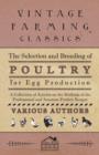 Image for The Selection and Breeding of Poultry for Egg Production - A Collection of Articles on the Methods of the Professional and Amateur Poultry Keeper
