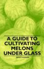 Image for A Guide to Cultivating Melons Under Glass